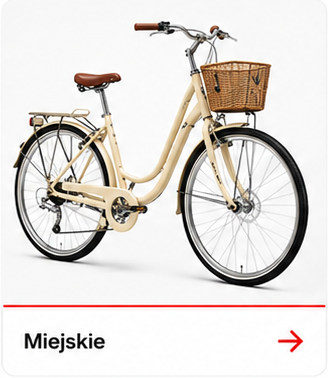 Rowery miejskie
